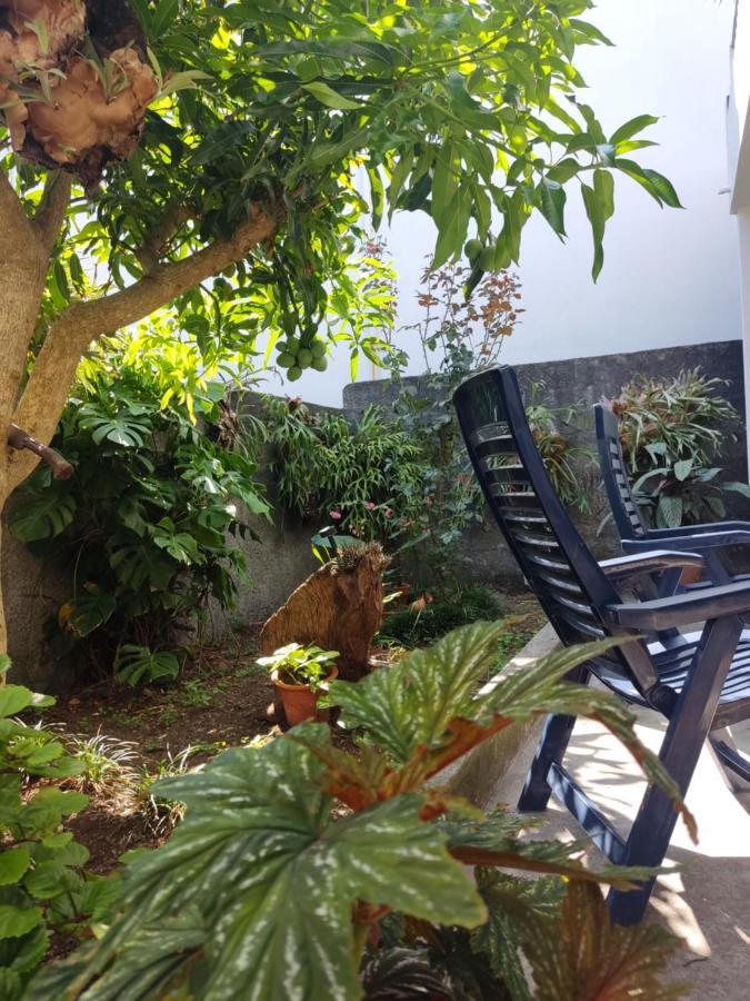 דירות São Vicente Casa Da Avo Rosa מראה חיצוני תמונה