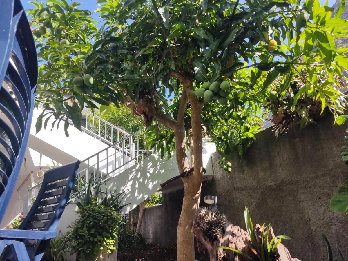 דירות São Vicente Casa Da Avo Rosa מראה חיצוני תמונה